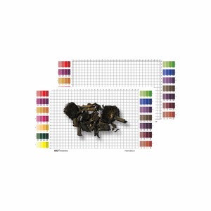 
Standard quantification card for Chinese herbal medicine pieces specimens, color card, photographic measurement plate, scale color comparison table