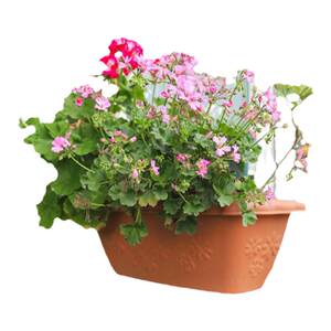 Heidi's garden Elexi pattern flower pot potting balcony green plant flower pot potted durable beautiful view long basin