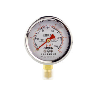 
Direct sales by manufacturer Hongqipian Instrument Shock-resistant and anti-seismic pressure gauge YTN-60 0-1MPa oil-filling pressure gauge
