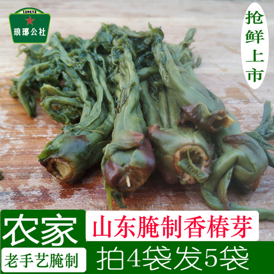 山东头茬香椿芽咸菜新鲜农家腌制咸香椿盐渍香椿头沂蒙山特产400g