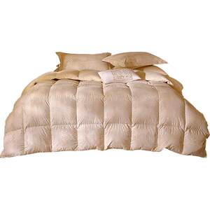 
Mercury Home Textiles 90 white down all-season quilt warm quilt core antibacterial anti-mite single and double quilt winter quilt bedding