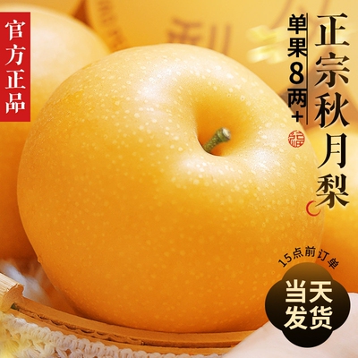 2026年3月20日更新【万能白菜价】的图片 第13张