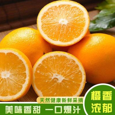 2026年1月8日更新【万能白菜价】的图片 第24张