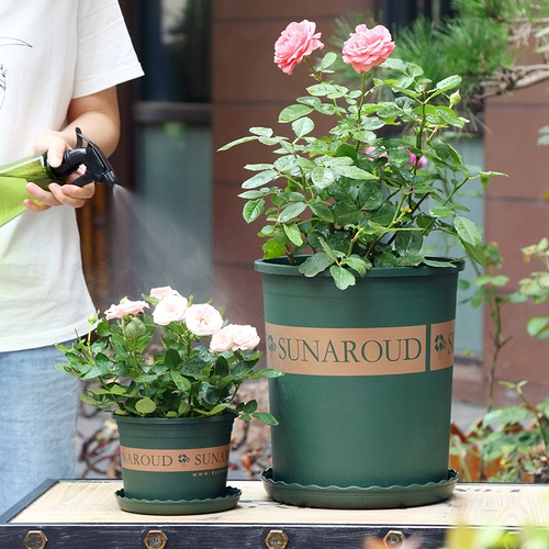 Flowerpot 2024 Новая высококачественная пластиковая смола сочная маленькая зеленая плющ большой галлон горшок третьего поколения проста проста