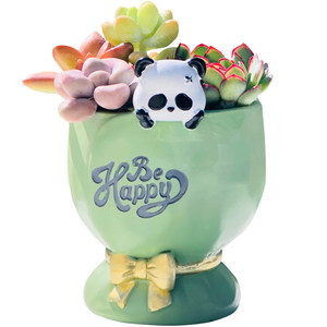 
Succulent flower pot cute cartoon creative animal rabbit cat panda children kindergarten potted gift