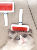 Кошачья расческа, плавающие волосы чистится волосы волос волос с плюшевыми собаками, чистка кошки с длинными волосами специальные домашние кошки принадлежности
