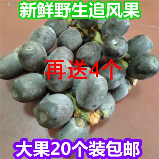 越南正宗新鲜追风果泡酒中药材刺虎鲜果24个装包邮纯天然现采摘