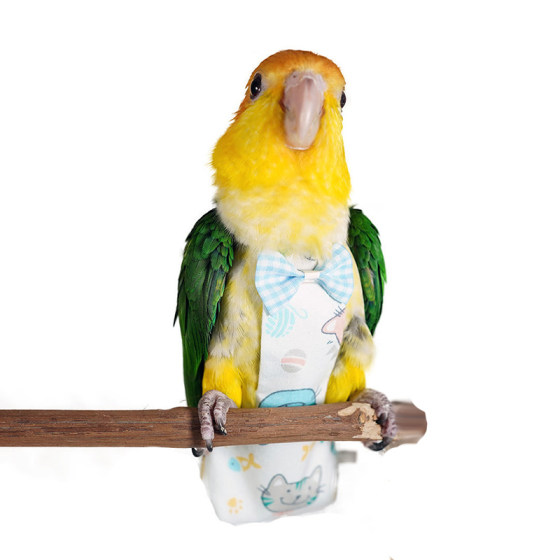 The eighth -generation non -side seam pet bird with urine without wet parrot clothes flying clothes three -dimensional shit, diaper diapers, free shipping