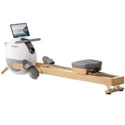 Youmei Intelligent Self-powered Rowing Machine R6