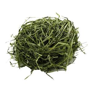 
Green oat grass 500g semi-dried pet grass forage chinchilla grain rabbit hay guinea pig grass