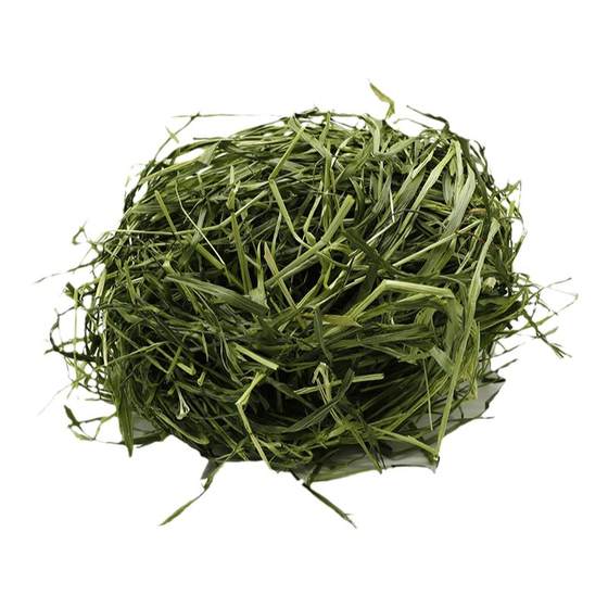 
Green oat grass 500g semi-dried pet grass forage chinchilla grain rabbit hay guinea pig grass