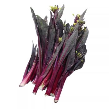 Autumn sowing vegetables October red seaweed moss seeds