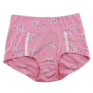 Elsa Underwear Head Modal Cotton Printed Breathable High Waist and Waist Wrapping Sexy Women's Flat Corner Shorts Gift Set