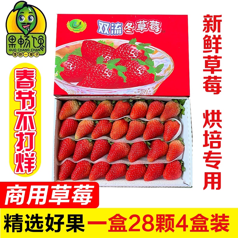 四季草莓新鲜水果烘焙蛋糕茶饮双流鲜草莓时令夏季酸草莓同城水果