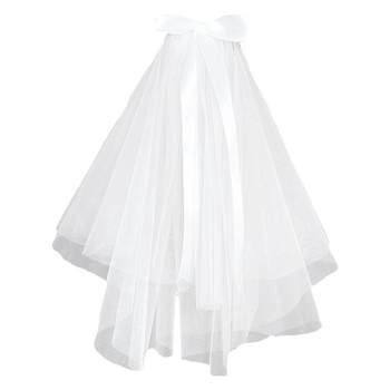 Bow proposal with small veil hairpin wedding photo
