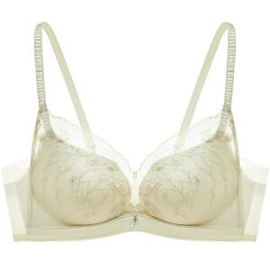 
Zhu Zhu's same Manifen Dragonfly bra sexy embroidered lace bra for women with small breasts push-up bra set