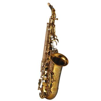 Professional entry-level Rollins Saxophone A1 midrange