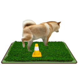 You don’t need to teach yourself how to use lawn toilets for dogs