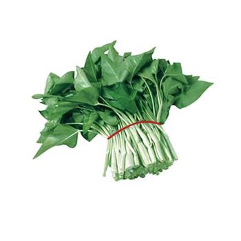 Water spinach seeds white stalk macaroni seeds
