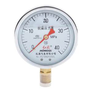 
Hongqi Instrument Manufacturer Direct Sales YTN-100 Eviscopic Oil-Filling Pressure Gauge Fire Pipeline Hydraulic Station Press