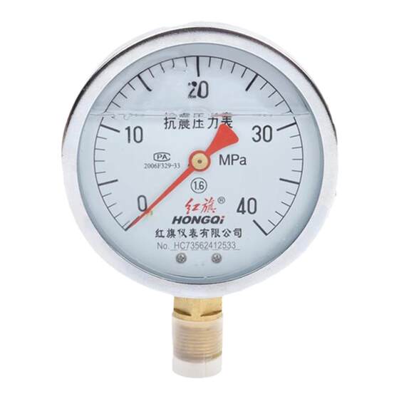 
Hongqi Instrument Manufacturer Direct Sales YTN-100 Eviscopic Oil-Filling Pressure Gauge Fire Pipeline Hydraulic Station Press