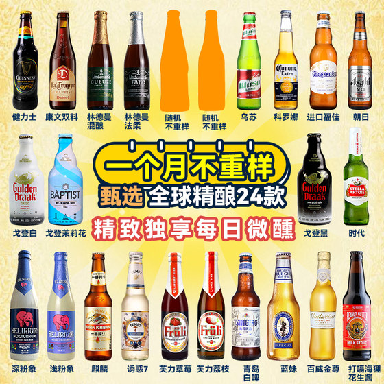 全球进口精酿啤酒组合白啤果啤1664林德曼迷失海岸罗斯福IPA 整箱