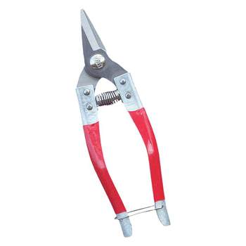 Sharp stainless steel fruit scissors citrus cut fruit picking