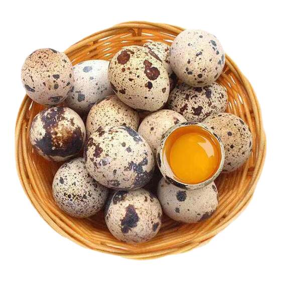 
60 fresh raw quail eggs, freshly picked from farmers, fed with raw bird eggs, supplementary food for pregnant women