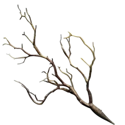 Simulovaný Materiál Větve Ručně Vyráběné Materiály Lesní Kutily Simulované Suché Větve Korálové čelenky Staghorn