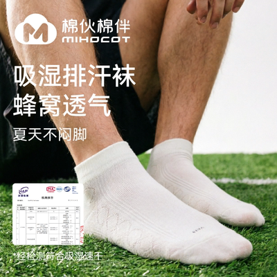 2026年3月19日更新【万能白菜价】的图片 第66张