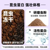 Кано Хомять пища Главная пища и пищевая тыква питание питания