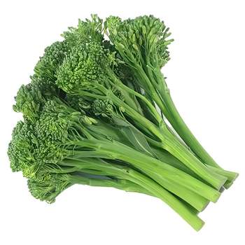 Shouguang sweet broccoli moss seedlings mature early and are cold-resistant