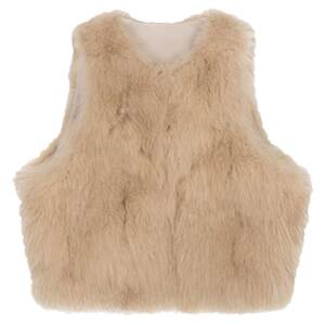 
Fur vest for women 2025 autumn and winter new Korean style imitation fox fur vest short plush velvet coat slimming vest