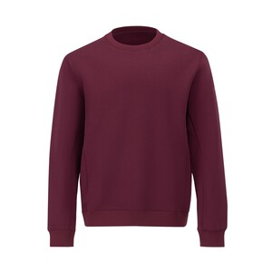 
DESCENTE ESSENTIAL New Year's model men's far infrared heating skin-friendly knitted pullover