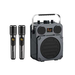 
800W high-power outdoor karaoke audio Berlin voice musical instrument speaker heavy bass square dance Bluetooth subwoofer