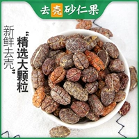 Amomumidum Китайский лекарственный материал 100 г амомум -кубиковой водяной чай для волос с песком и подлинным не -мимо -оболочкой -оболочкой -из -за жевательной резинки.