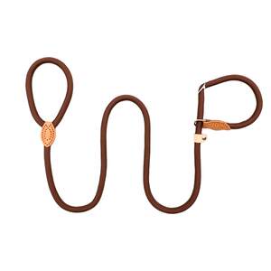 Dog P rope, explosion-proof dog rope, dog leash, dog walking P chain, small, medium and large dog, extended dog chain, automatic dog chain