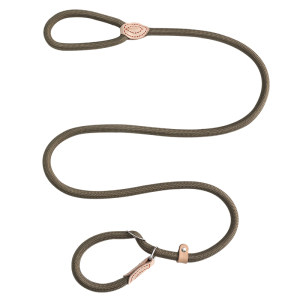 Dog rope explosion -proof p. Pin dog traction rope anti -free break free of dog chain large dog explosion -proof dog ropes