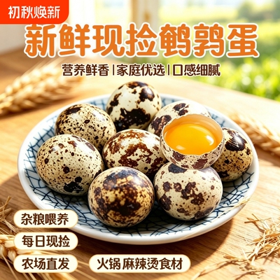 2026年8月31日更新【万能白菜价】的图片 第33张