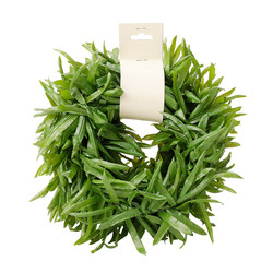 Jinghua Simulated Lanterngrass Artificial Vine Rose