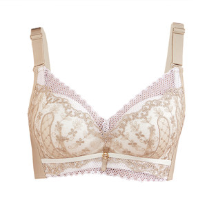 
White-skinned underwear girl's new bra without steel ring push-up small breasts anti-sagging adjustable bra lace sexy