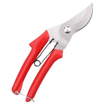 Hanbaite stainless steel branches and shears are beautiful and cheap
