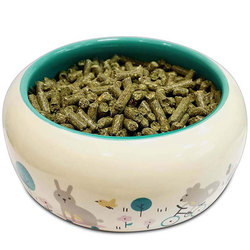 Oic Ceramic Food Bowl Large Rabbit Chinchilla Guinea Pig Anti-overturn Anti-splash Food Bowl Feed Box Pet Supplies Oc76