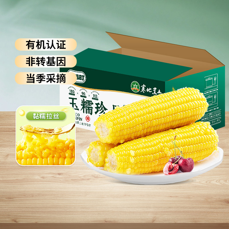 【七稻町】东北有机黄糯甜玉米3支特大棒