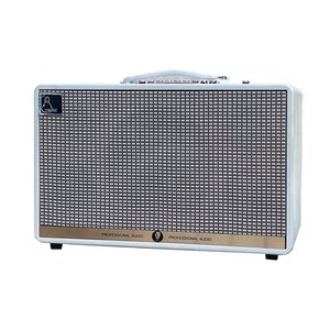 
Yamiser G25 outdoor high-power speaker charging Bluetooth karaoke singing instrument guitar live broadcast internal recording OTG