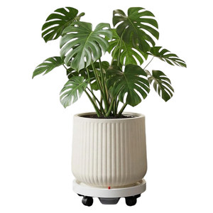 
Nordic style simple plastic extra large diameter flower pot thickened durable green plant pot indoor living room home flower pot