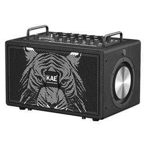 
British KAE M5 Tiger Head Speaker Musical Instrument Special Hair Tube Saxophone Guitar Outdoor Singing Live Audio