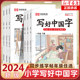 2024写好中国字字帖一二三四五六年级下册上册小学语文课本同步练字帖正楷临摹硬笔楷书课课练控笔训练练习册人教版字帖小学生专用