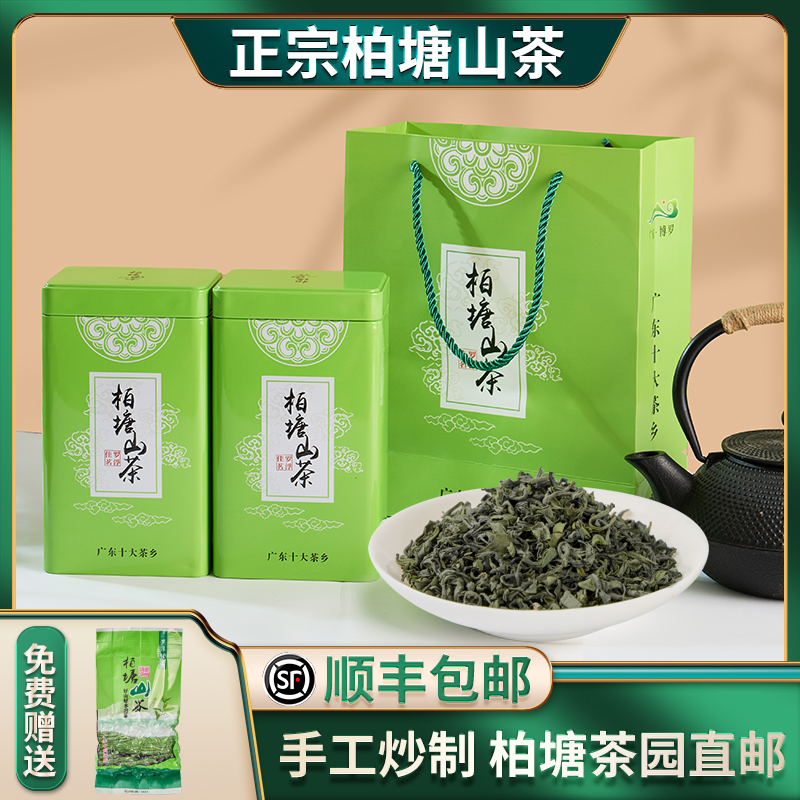 柏塘山茶广东十大名茶惠州博罗特级客家炒青绿茶特产罗浮山茶叶