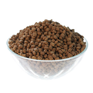 Xiong Er Homemade Desires for Puppy Dog Food, Adult Dog Food Package, Mail Dog Main Food, Golden Hair Bears, Teddy Labrador